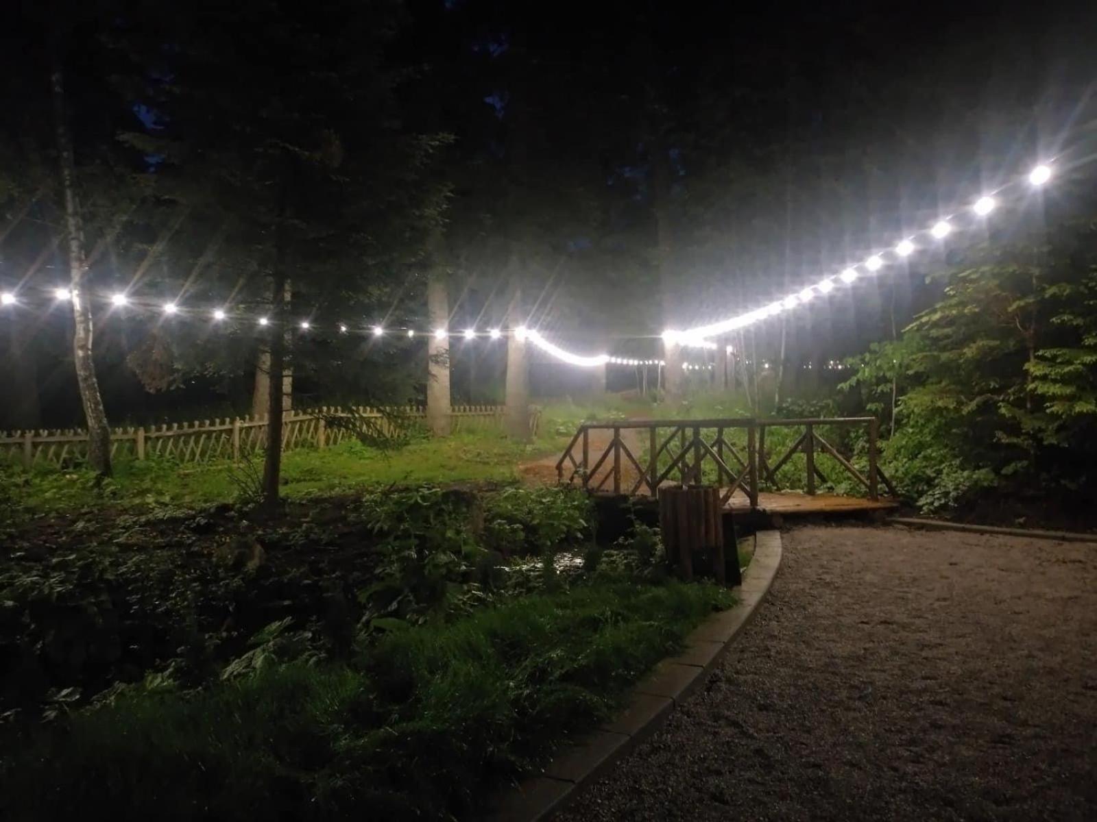 Villa Park - Beniart Studio - Nr 109 - Near Gondola Lift ボロヴェッツ エクステリア 写真