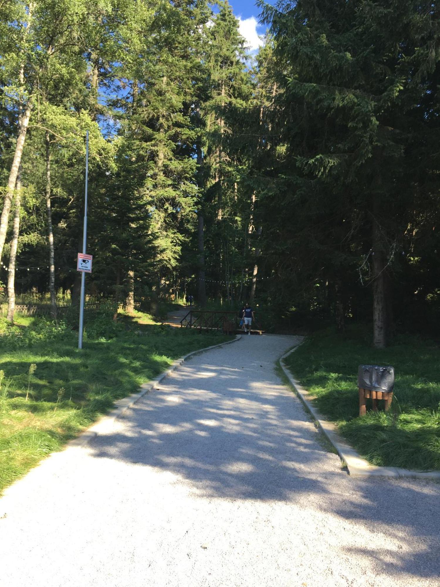 Villa Park - Beniart Studio - Nr 109 - Near Gondola Lift ボロヴェッツ エクステリア 写真